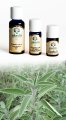 Salvia Sclarea - Olio Essenziale