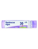 Sambucus Nigra 30CH Granuli Boiron