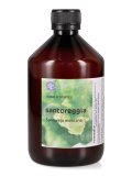 Santoreggia - Acqua Aromatica