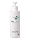Sapone Liquido Mani
