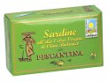 Sardine all'Olio Extra Vergine di Oliva - Pescantina