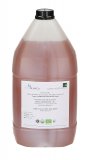 Sciroppo di Agave - Tanica
