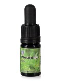 Scleranthus - Soluzione Madre