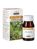 Scutellaria - Estratto Titolato