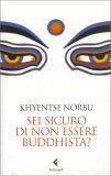 Sei Sicuro di Non Essere Buddhista? — Libro