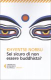 Sei Sicuro di non Essere Buddhista? — Libro