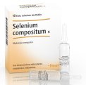 Selenium Compositum N Heel 10 Fiale