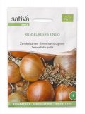 Sementi di Cipolla - Rijnsburger 5 Bingo