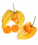 Semi di Alchechengio Physalis Peruviana Bio