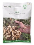 Semi di Arachidi - Gaia