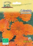 Semi di Calendula Officinalis Bio