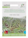 Semi di Cardo Spinoso Argentato di Plainpalais