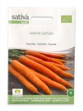 Semi di Carota Bio - Amiva