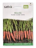 Semi di Carota Miso SG Bio