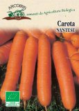 Semi di Carota Nantese Bio