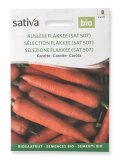 Semi di Carota - Selezione Flakkee