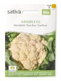 Semi di Cavolfiore Amabile KS