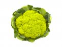 Semi di Cavolfiore Verde di Macerata - 2500 Semi