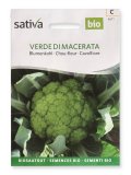 Semi di Cavolfiore Verde di Macerata