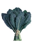 Semi di Cavolo Nero di Toscana Bio