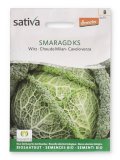 Semi di Cavolo Verza Bio - Smaragd KS