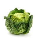 Semi di Cavolo Verza Vertus Bio