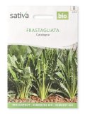 Semi di Cicoria Catalogna Frastagliata