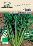Semi di Cicoria Catalogna Frastagliata - 5 gr - BU010