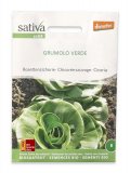 Semi di Cicoria Grumolo Verde Bio
