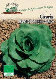 Semi di Cicoria Grumulo Verde Scuro