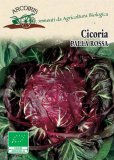 Semi di Cicoria Palla Rossa - 5 gr - BU012