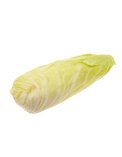Semi di Cicoria Pan di Zucchero Bio