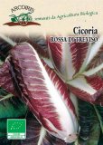 Semi di Cicoria Rossa di Treviso Precoce - 5 gr - BU013