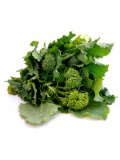 Semi di Cima di Rapa Novantina Bio