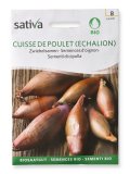 Semi di Cipolla - Cuisse De Poulet