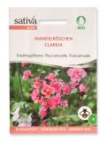 Semi di Clarkia
