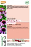 Semi di Echinacea Purpurea