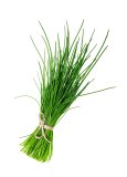 Semi di Erba Cipollina Bio