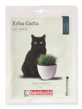 Semi di Erba per Gatti