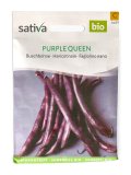 Semi di Fagiolino Nano Purple Queen