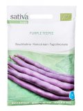 Semi di Fagiolino Nano Purple Teepee