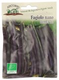 Semi di Fagiolo Nano Violetto (Purple Queen) Bio