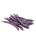 Semi di Fagiolo Purple Queen Bio