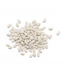 Semi di Fagiolo Rampicante di Spagna - Corona