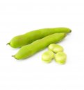 semi di Fava Aguadulce Supersimonia - B503