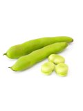 Semi di Fava Aguadulce Supersimonia Bio