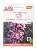 Semi di Fiore Annuale Verbena