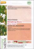 Semi di Fiore Perenne Gaura Lindheimeri