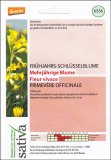 Semi di Fiore Perenne Primula Odorosa