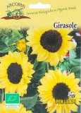 Semi di Girasole Medio a Fiori Gialli Bio
